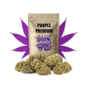 Purple Haze Premium 4